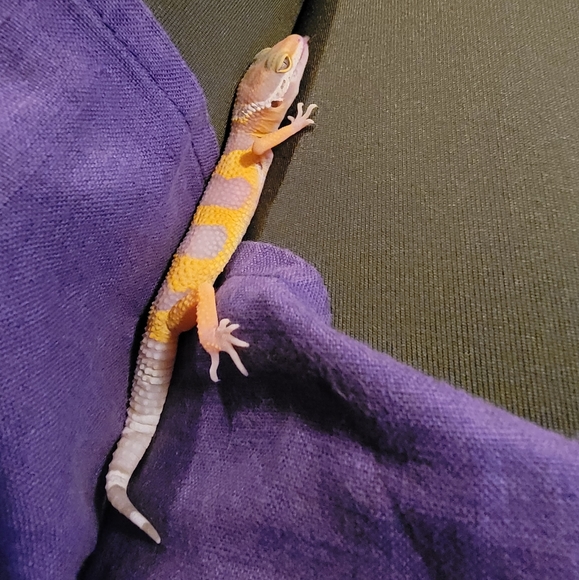 Too shy to make an offer? - Picture 2 of 10